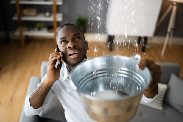 Best Residential water damage restoration  in Milton, FL