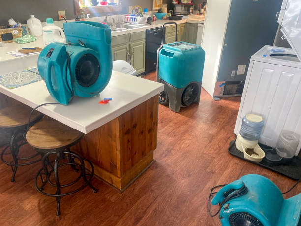 Best Water damage restoration near me  in Milton, FL