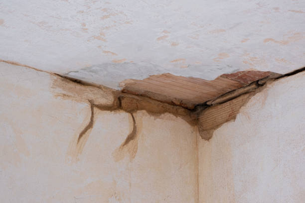 Best Mold removal after water damage  in Milton, FL
