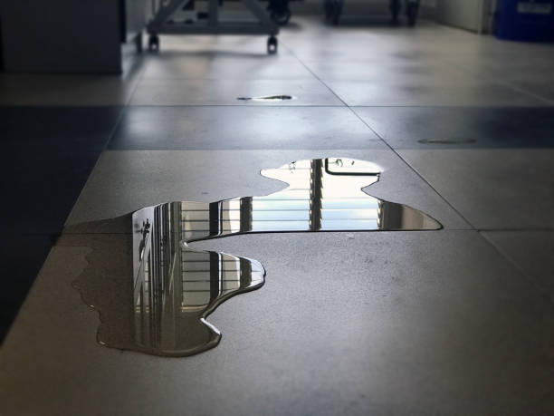 Best Water damage cleanup near me  in Milton, FL