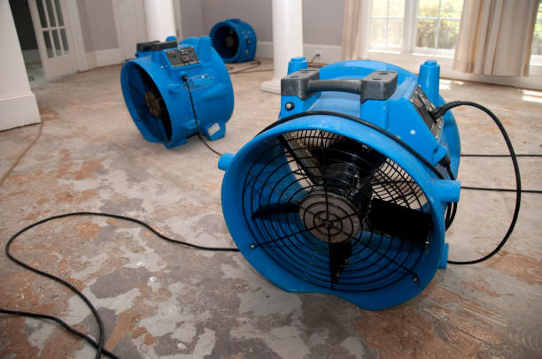 Best Flooded house restoration  in Milton, FL