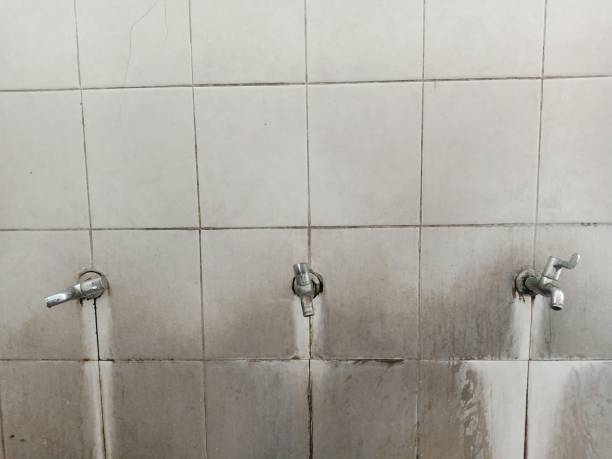 Best Water damage restoration near me  in Milton, FL