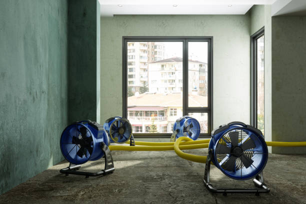 Best Commercial water damage restoration  in Milton, FL